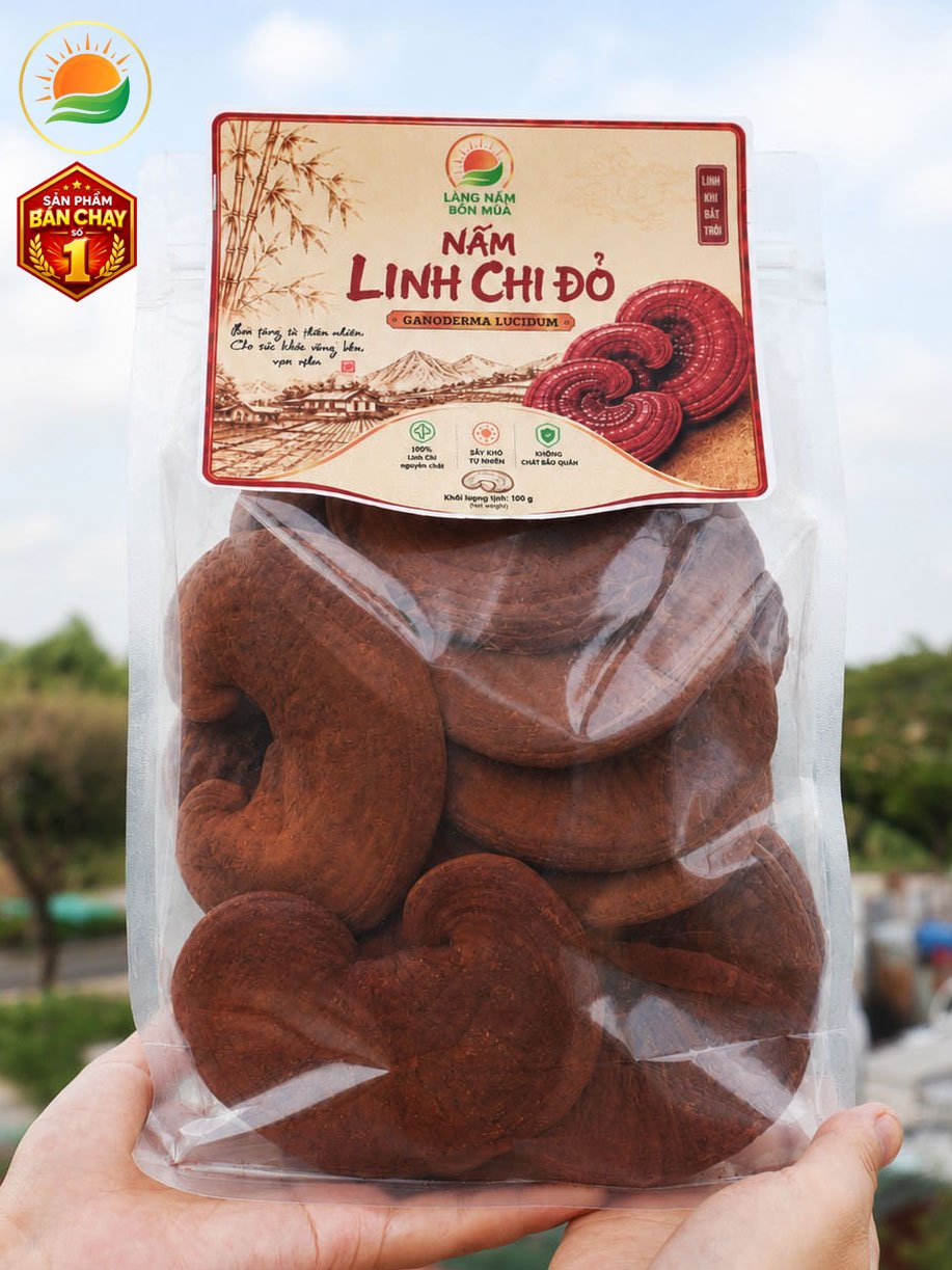 phoi-nam-linh-chi-chat-luong-nang-suat-cao