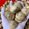 Dried Straw Mushrooms | Freeze-Dried Straw Mushrooms from Vietnam